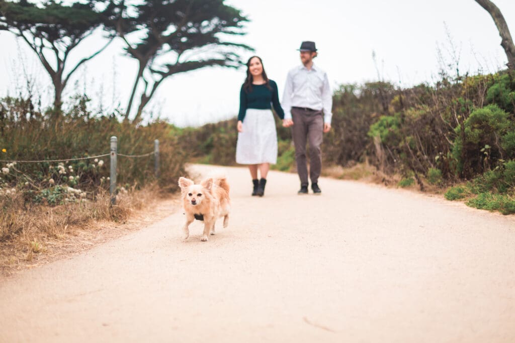 Couple with their dog enjoying a photoshoot, captured in a natural and candid moment by a San Francisco Bay Area wedding photographer.